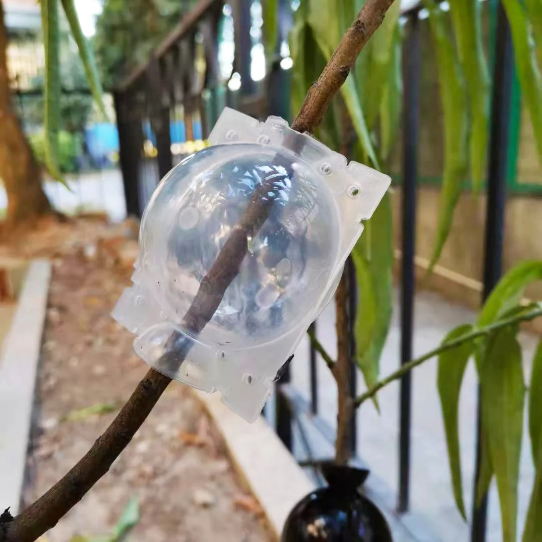 Kit de Boule de Marcottage Réutilisable pour Plantes – Image 2