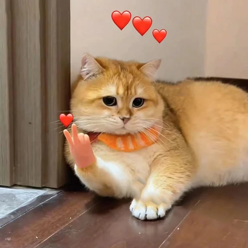 Accessoires de doigt amusants pour chat – Image 3