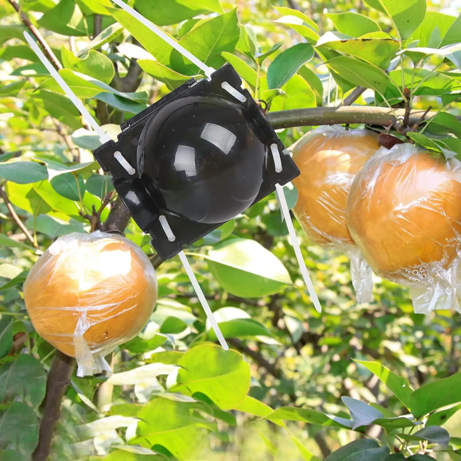 Kit de Boule de Marcottage Réutilisable pour Plantes – Image 5