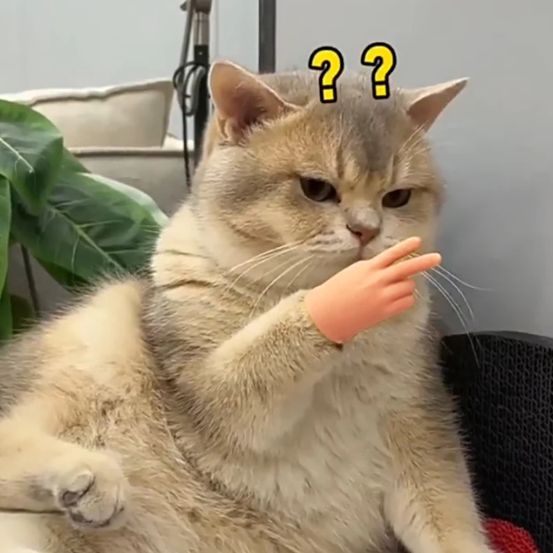 Accessoires de doigt amusants pour chat – Image 4
