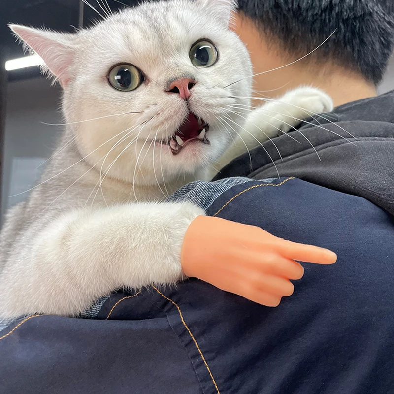 Accessoires de doigt amusants pour chat – Image 2