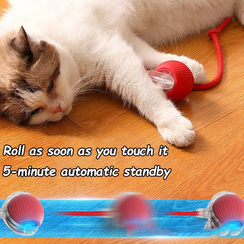 Balle interactive pour chat, 2 pièces – Image 4