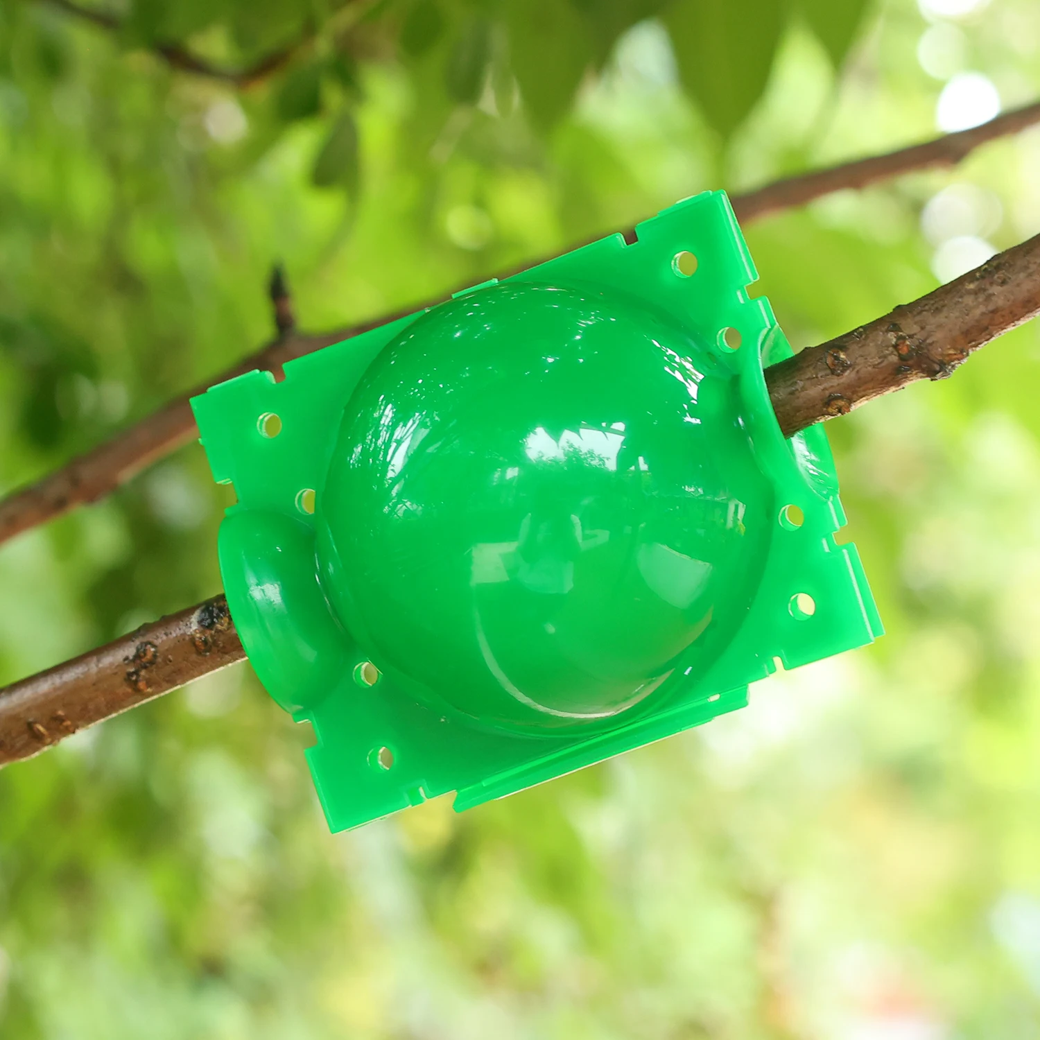 Kit de Boule de Marcottage Réutilisable pour Plantes – Image 4