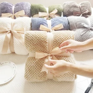 Couverture d'Hiver Douce et Chaude en Flanelle Vison