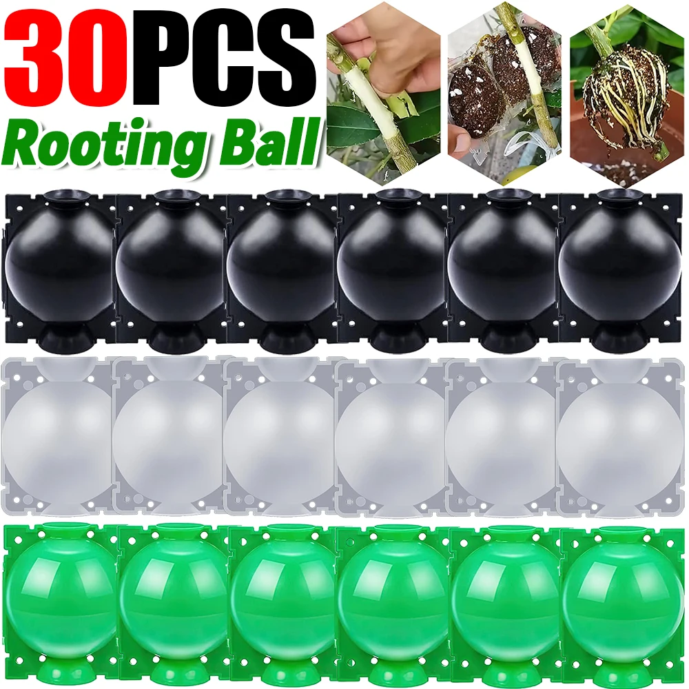 Kit de Boule de Marcottage Réutilisable pour Plantes