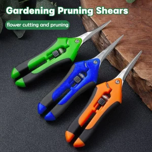 Sécateur Professionnel Jardinage - Lame Acier Inoxydable, Coupe Précise