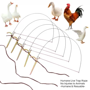 Piège à Oiseaux Professionnel pour Gibier