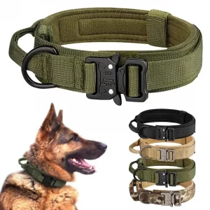Collier Tactique en Nylon pour Chien - Durable et Respirant