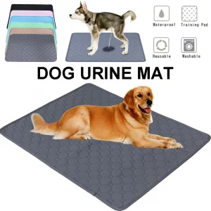Tapis d'entraînement absorbant pour chien - Lavable & Réutilisable