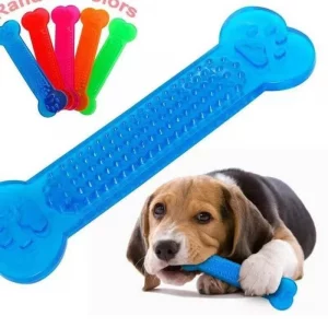 Jouet à mâcher en caoutchouc pour chien - Brosse à dents interactive pour chiot