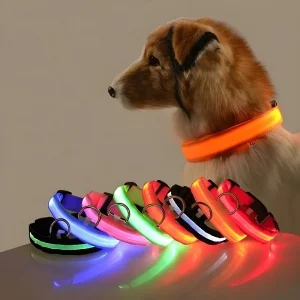 Collier LED Lumineux pour Chien - Sécurité Nocturne