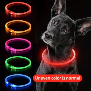 Collier Lumineux LED Rechargeable pour Chien - Sécurité et Visibilité Optimales