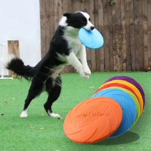 Jouet Disque Volant Durable pour Chien OUZEY
